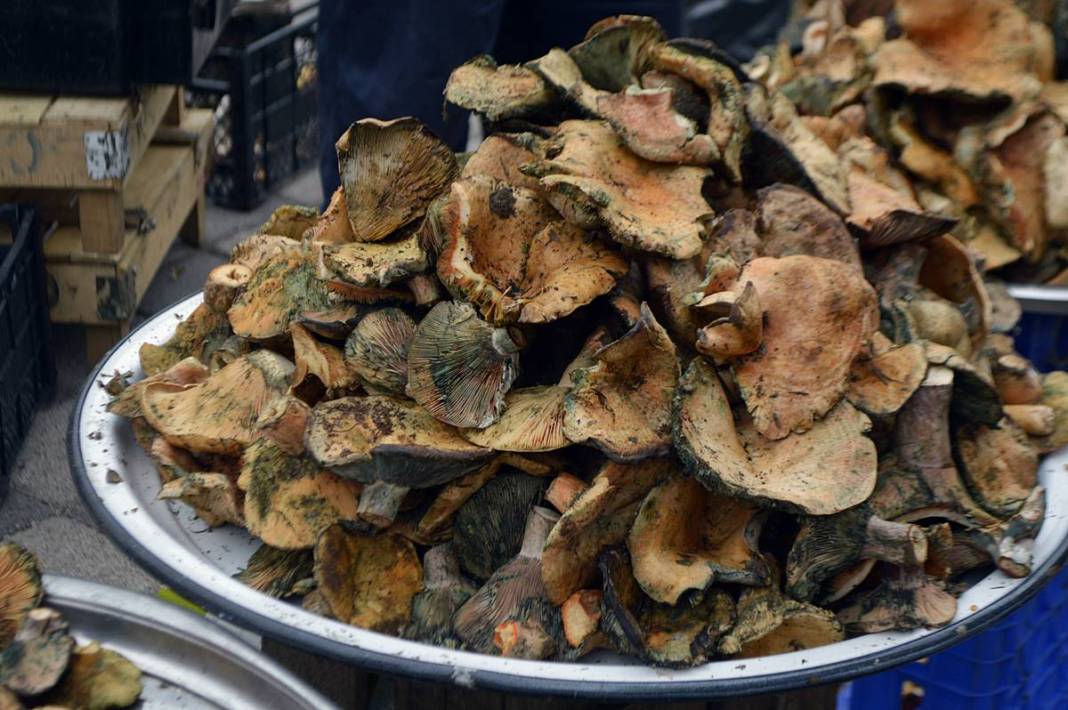 Dağlardan bereket fışkırdı, köylünün yüzü güldü! Kilosu 100 TL'ye kadar düştü 29